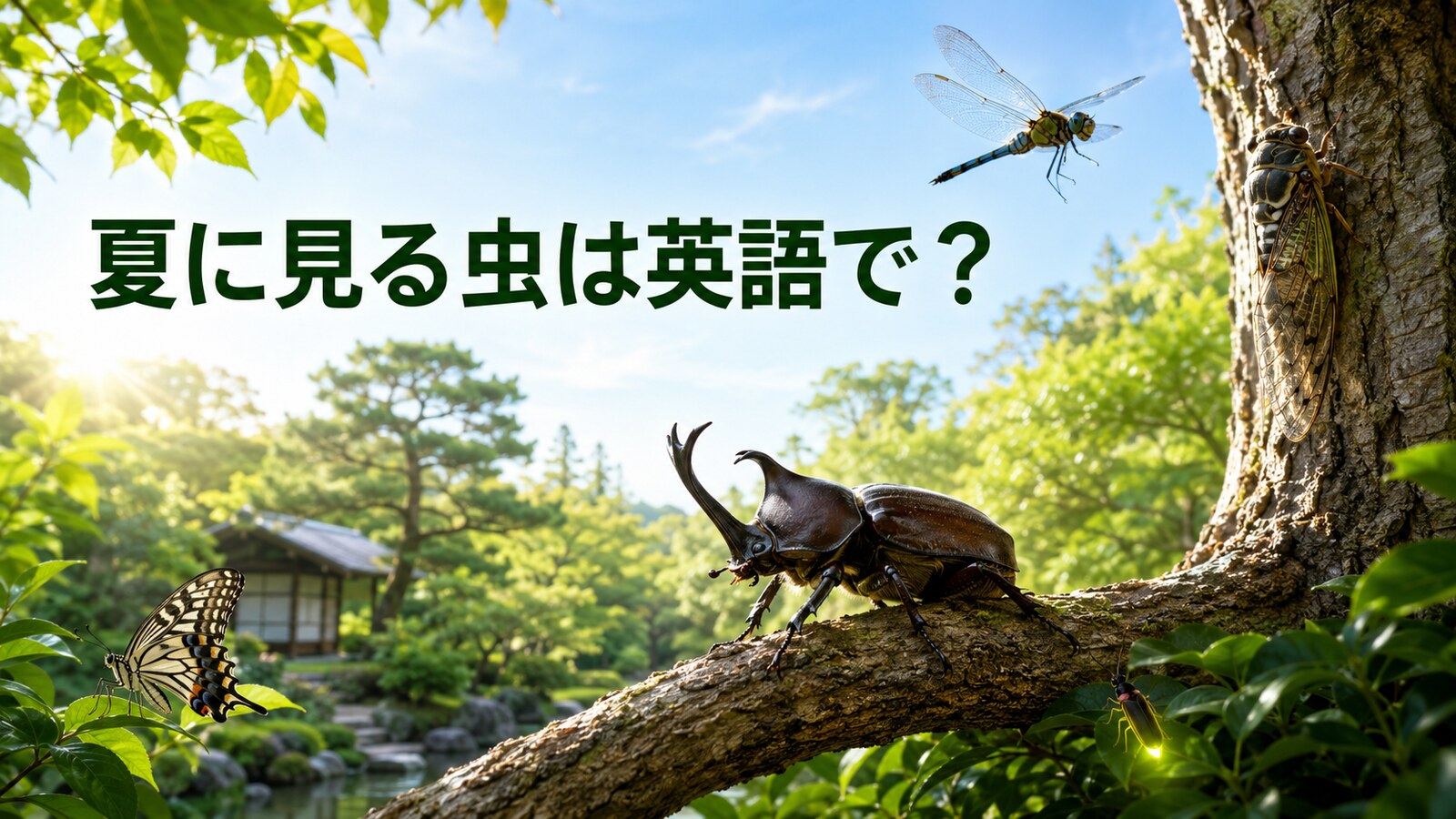 夏に見る虫は英語で？カブトムシ・セミ・トンボなどの英語一覧