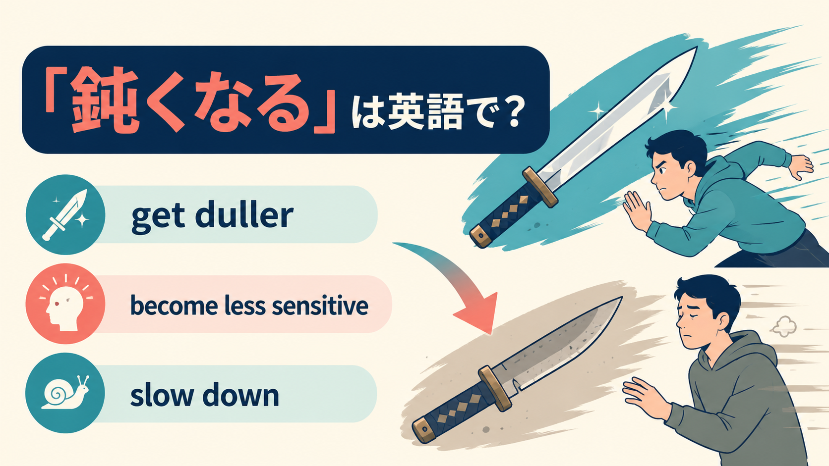 get duller・become less sensitive・slow down