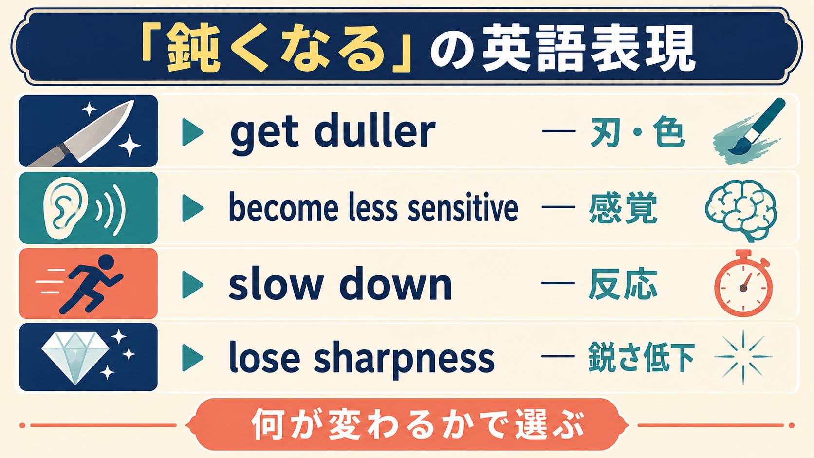 get duller・become less sensitive・slow down