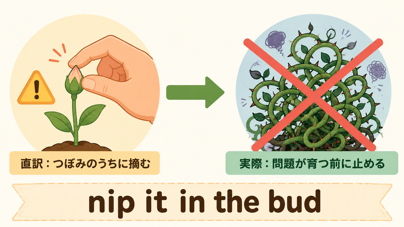 nip it in the budの直訳と問題が育つ前に止めるという意味の比較図