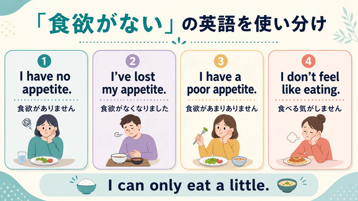 食欲がないを表すno appetite、lost my appetite、poor appetite、don’t feel like eatingの違い