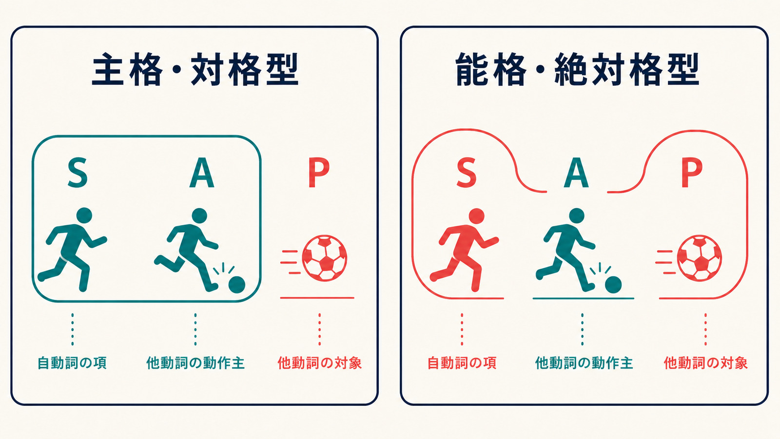 主格対格型はSとA、能格絶対格型はSとPを同じ扱いにすることを示した図