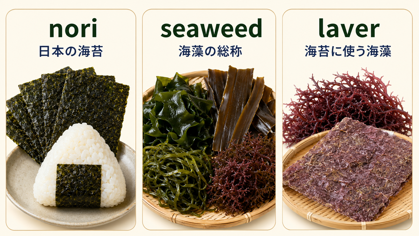 nori、seaweed、laverの意味の違いを示した比較画像