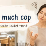 not much copの意味と使い方