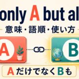 not only A but also Bの意味・語順・使い方