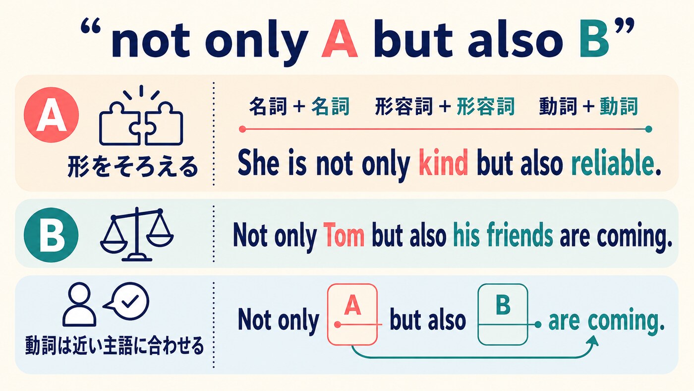 not only A but also Bの並列と動詞一致の例文図解