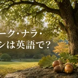 オーク・ナラ・カシを英語で紹介する記事のアイキャッチ