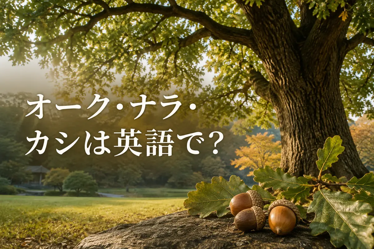 オーク・ナラ・カシを英語で紹介する記事のアイキャッチ
