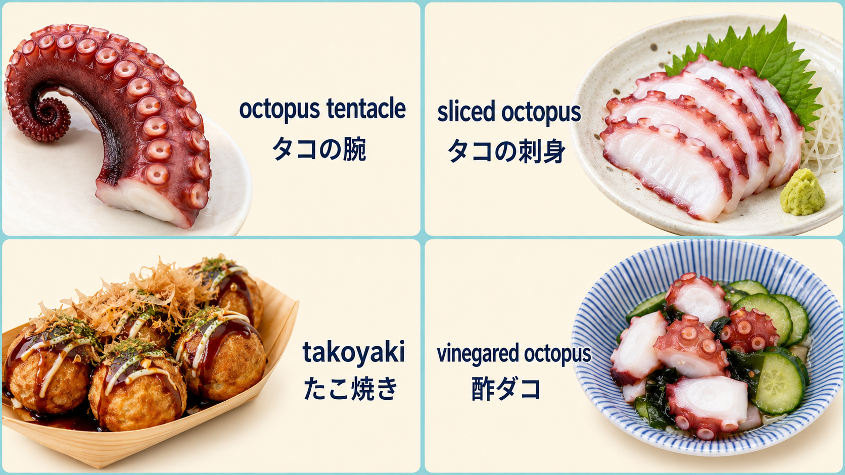 タコの腕・刺身・たこ焼き・酢ダコの英語表現