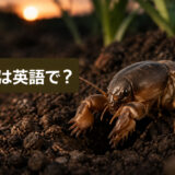 土から出てきたシャベル状の前脚を持つオケラと「オケラは英語で?」の文字