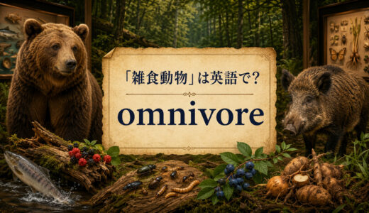 「雑食動物」は英語で？omnivoreの発音・意味とomnivorousとの違い