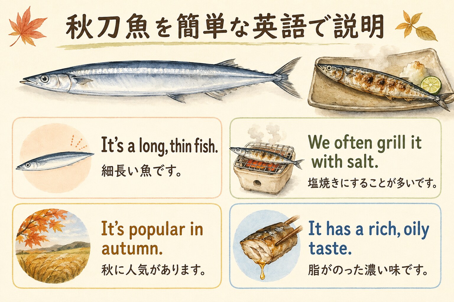 秋刀魚を細長い魚、塩焼き、秋に人気、脂ののった味と簡単な英語で説明する図解