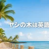 ヤシの木を英語で紹介する記事のアイキャッチ
