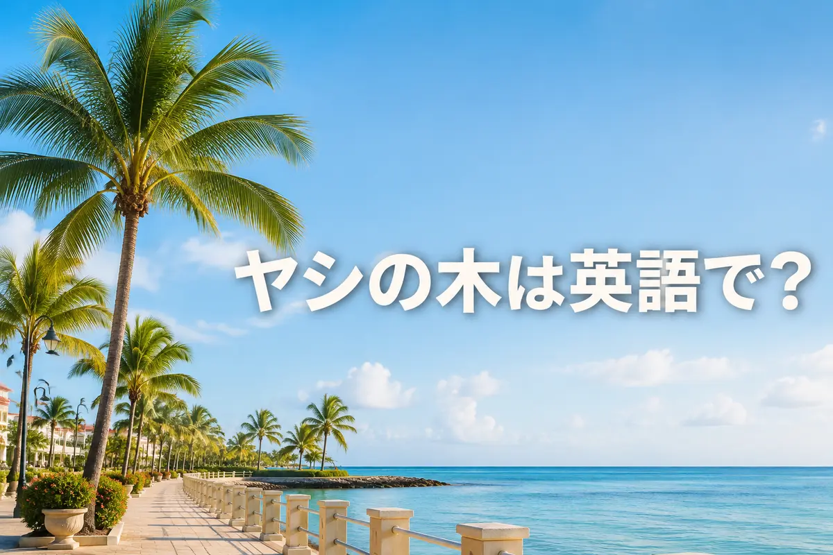 ヤシの木を英語で紹介する記事のアイキャッチ