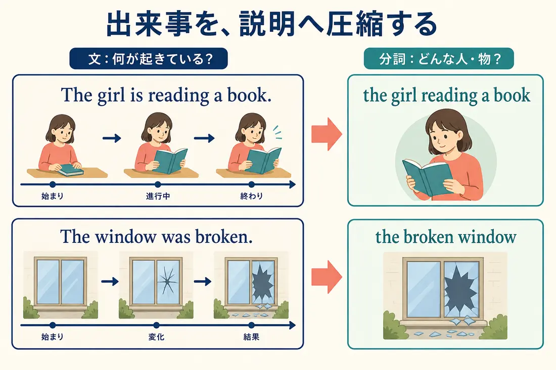 現在分詞と過去分詞が文の出来事を人や物の説明へ圧縮する図解