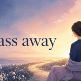 Pass awayの意味を表す、光へ続く道を眺める女性のイラスト