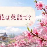 桃の花は英語で?peach blossomと紹介する春のアイキャッチ