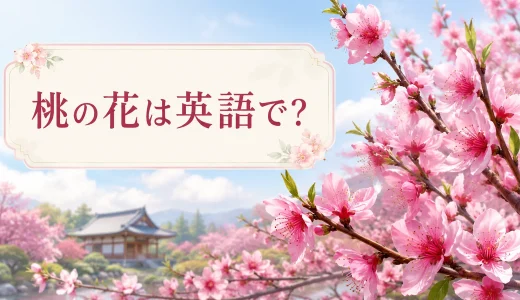 桃の花は英語で？peach blossomの発音・梅や桜との違いと桃の節句の説明