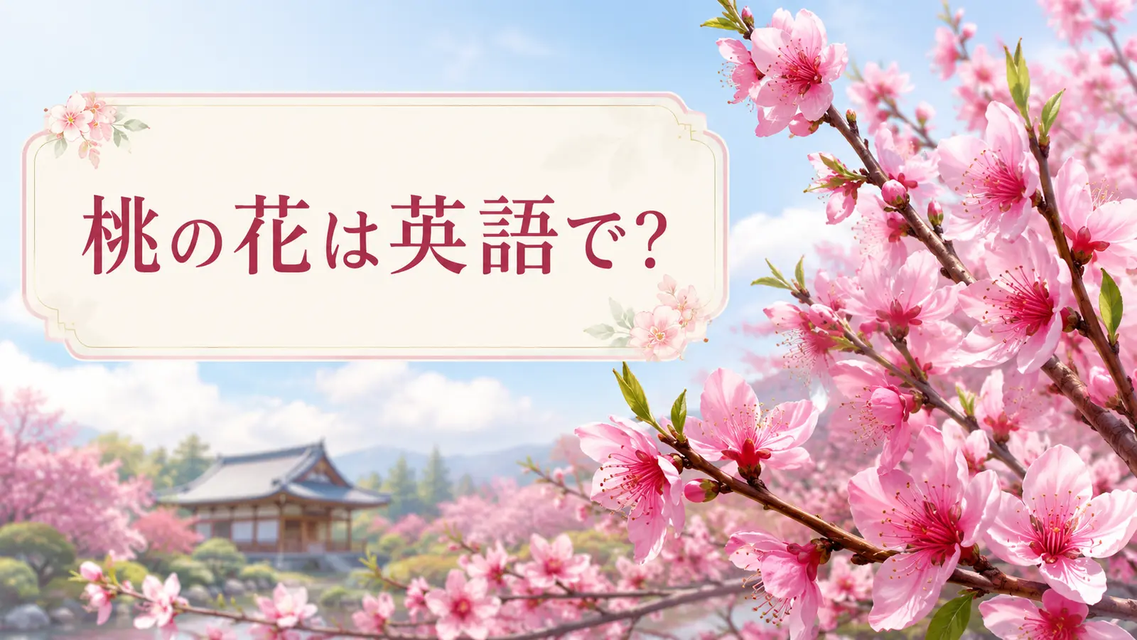 桃の花は英語で？peach blossomと紹介する春のアイキャッチ