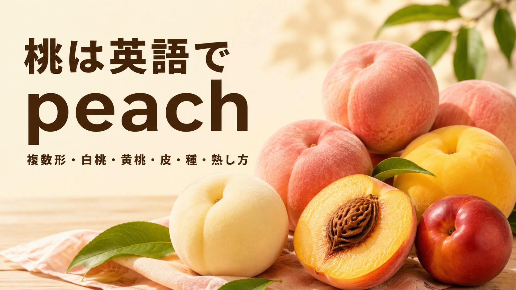 桃は英語でpeachと学ぶ、白桃・黄桃・ネクタリン・種を並べた解説画像