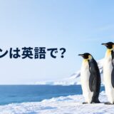 氷上のペンギンと「ペンギンは英語で？」の文字