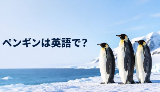 ペンギンは英語で？penguinの発音・複数形と飛べない鳥の体を解説