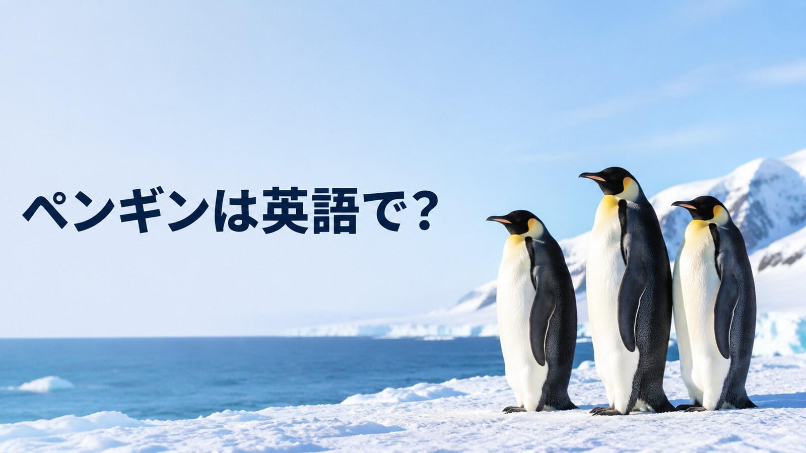 氷上のペンギンと「ペンギンは英語で?」の文字