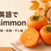 柿は英語でpersimmonと学ぶ、生の柿と半分に切った柿、干し柿を並べた解説画像
