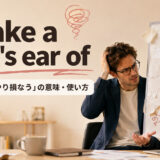 make a pig's ear ofの意味と使い方
