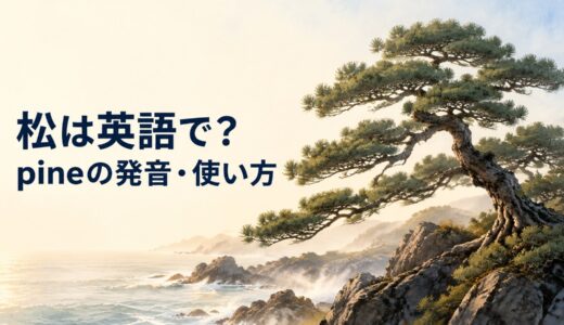 松は英語で？pineの発音・語源、pine tree・Pinusとの違いと日本文化