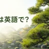 松は英語でpineと紹介する記事のアイキャッチ