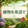 植物を英語で紹介する花・木・草・観葉植物のイラスト