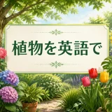 植物を英語で紹介する花・木・草・観葉植物のイラスト
