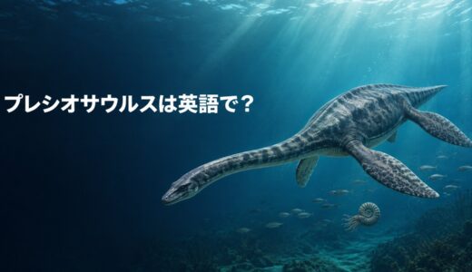 プレシオサウルスは英語で？Plesiosaurusの発音・名前の意味と首長竜の英語