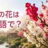 梅の花は英語でplum blossomと紹介する記事のアイキャッチ