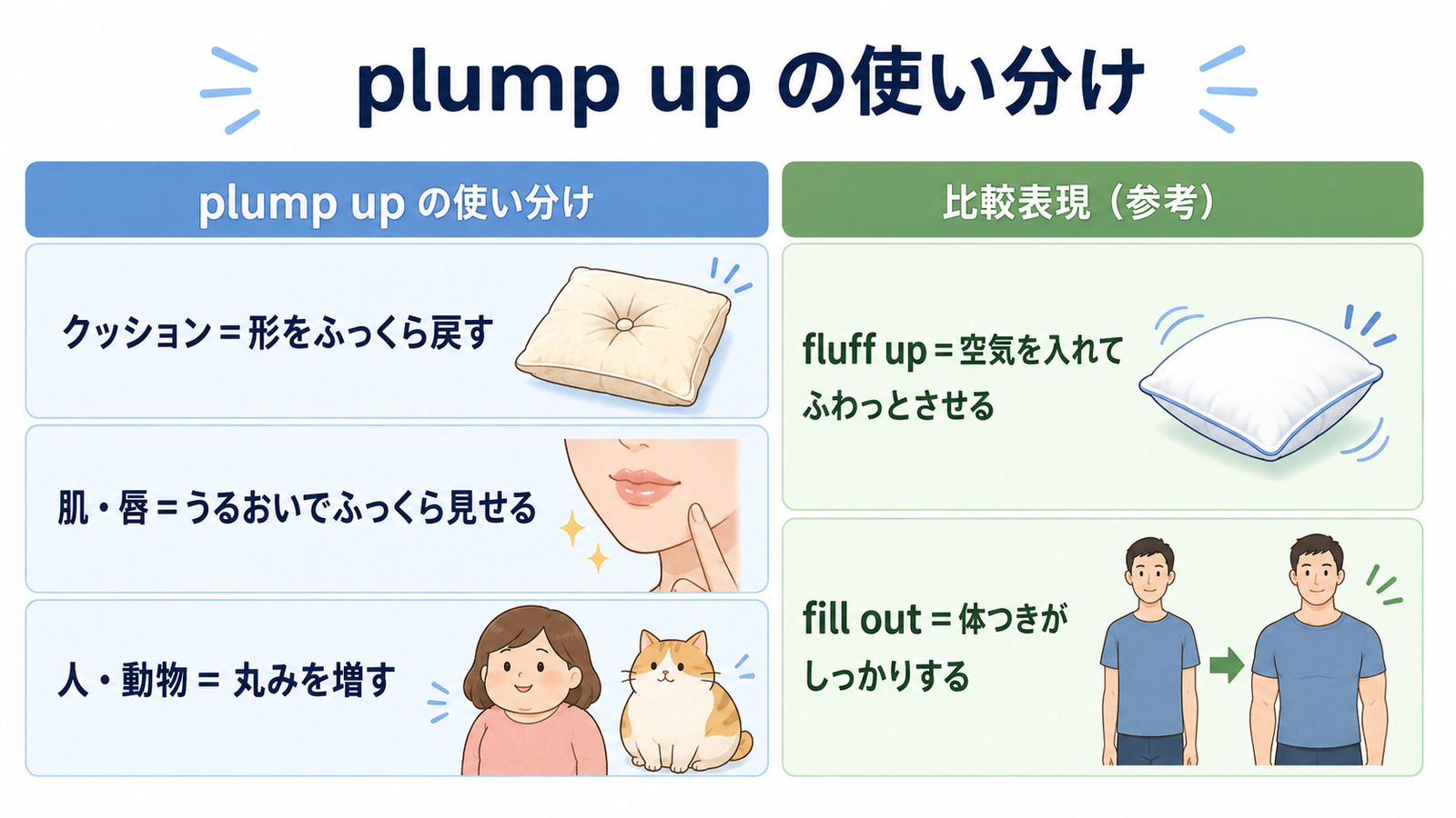 plump upの意味は？「ふっくらさせる」の使い方とfluff upとの違い