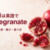 ザクロは英語でpomegranateと示し、複数形・粒・皮・果汁・食べ方を紹介する画像