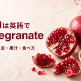 ザクロは英語でpomegranateと示し、複数形・粒・皮・果汁・食べ方を紹介する画像