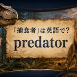「捕食者」は英語で?predatorと書かれたティラノサウルスとライオンのイラスト