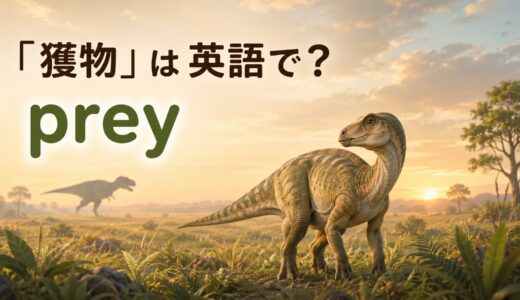 「獲物」は英語で？preyの発音・数え方とprey onの使い方