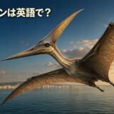 白亜紀の海上を飛ぶプテラノドンと「プテラノドンは英語で？」の文字