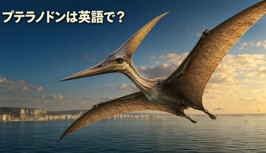 プテラノドンは英語で？Pteranodonの発音・意味と「恐竜ではない」理由