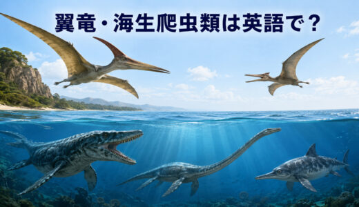 翼竜・海生爬虫類は英語で？5種類の名前・発音一覧【恐竜との違いも解説】