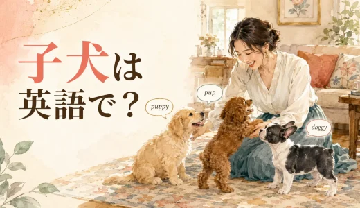 子犬は英語で？puppy・pup・doggyの違いとかわいい例文