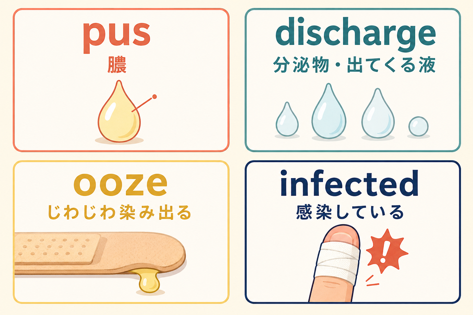 pus、discharge、ooze、infectedの意味を日本語で比較した図