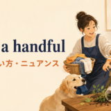 quite a handfulの意味・使い方・ニュアンス