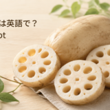 れんこんは英語でlotus rootと説明する記事のアイキャッチ
