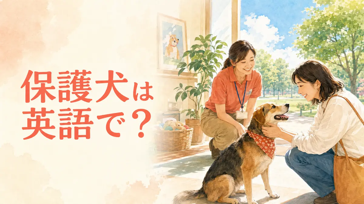 保護犬は英語で？保護施設で女性が保護犬と出会うイラスト