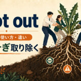 root outの意味・使い方と「根こそぎ取り除く」のイメージ