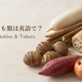根菜といも類の英語一覧を紹介する中間親記事のアイキャッチ